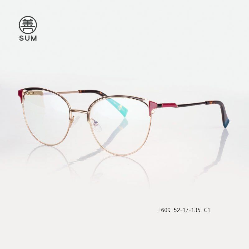 2021 latest optical eyeglass frames for women F609 C1