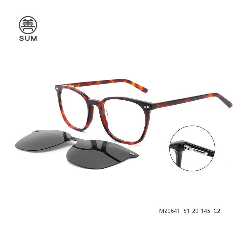 Clip On Eyewear M29641 C2 Clip On Eyewear M29641 C2
