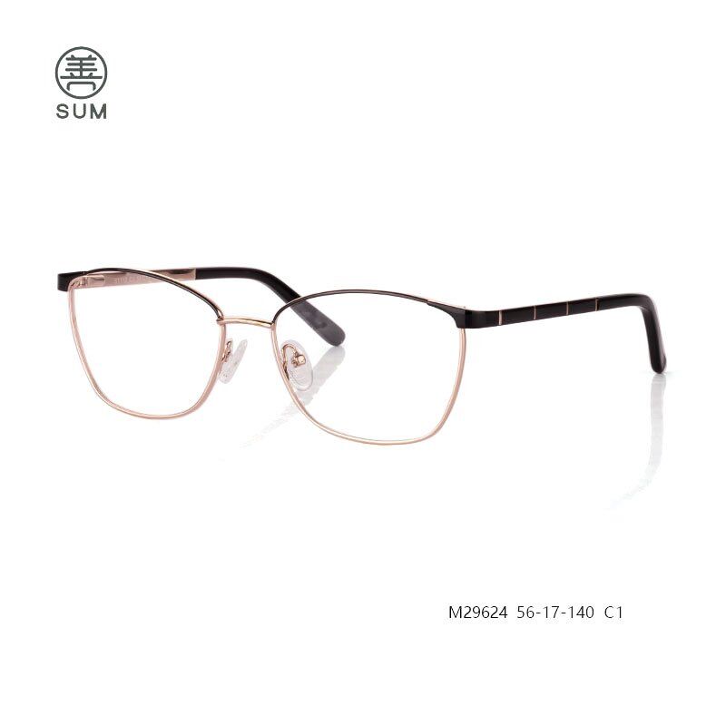 Eyeglasses for Euro market M29624 C1