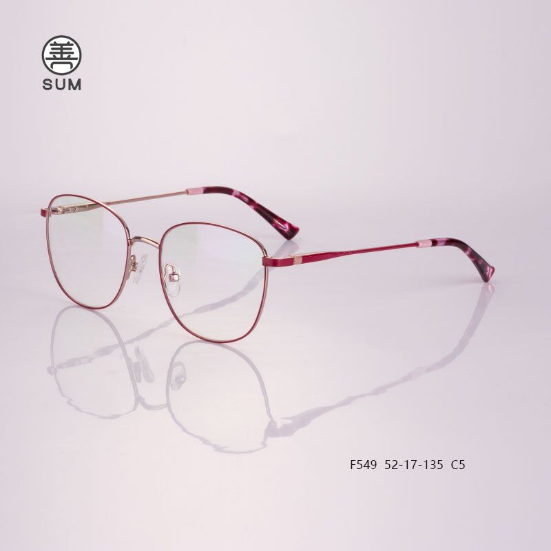 Metal Optical Frames F549 C5