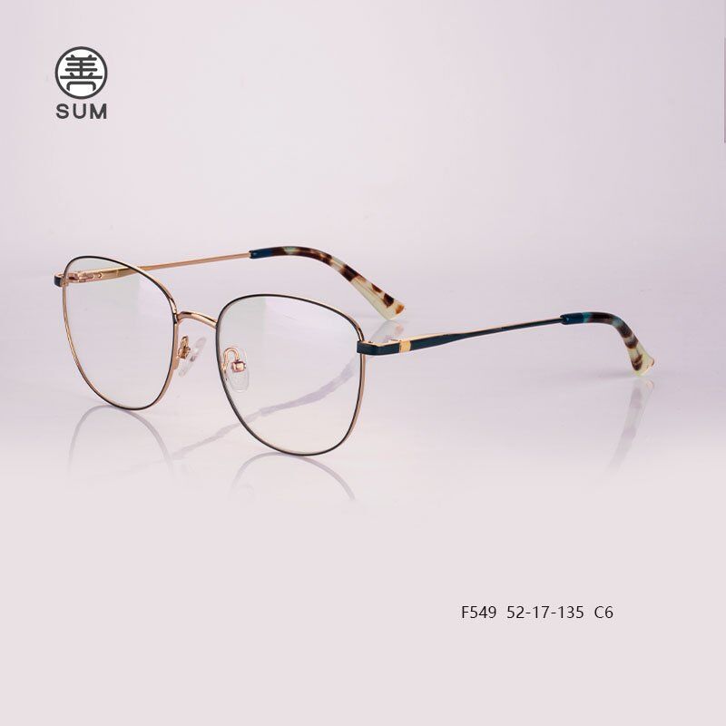 Metal Optical Frames F549 C6