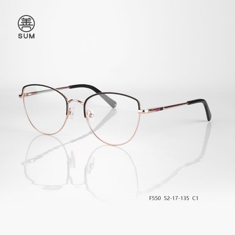 Metal Optical Frames F550 C1