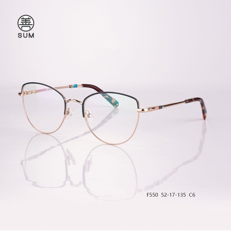 Metal Optical Frames F550 C6
