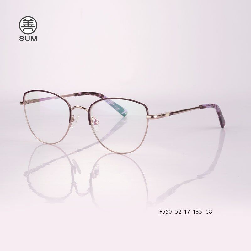 Metal Optical Frames F550 C8