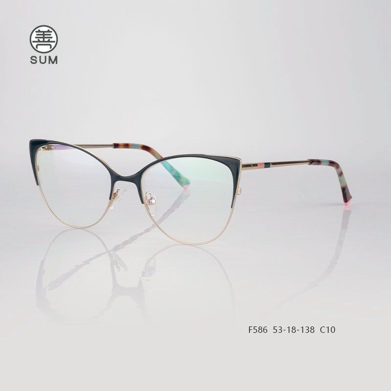 Metal Optical Frames F586 C10