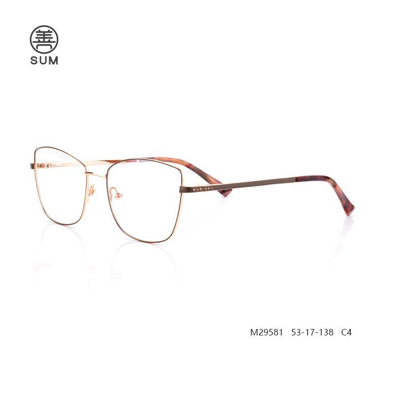 Metal Glasses Stylist Frames M29581 C4
