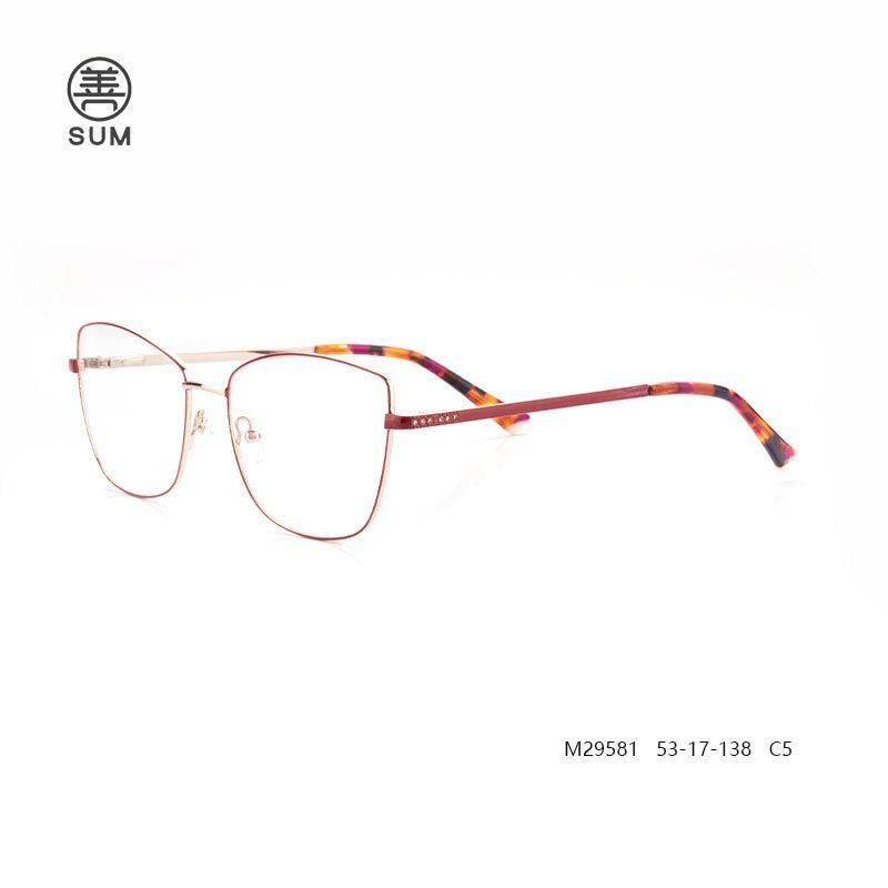 Metal Glasses Stylist Frames M29581 C5