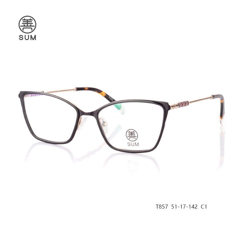 TR90-eyewear-for-women-T857-C1.jpg