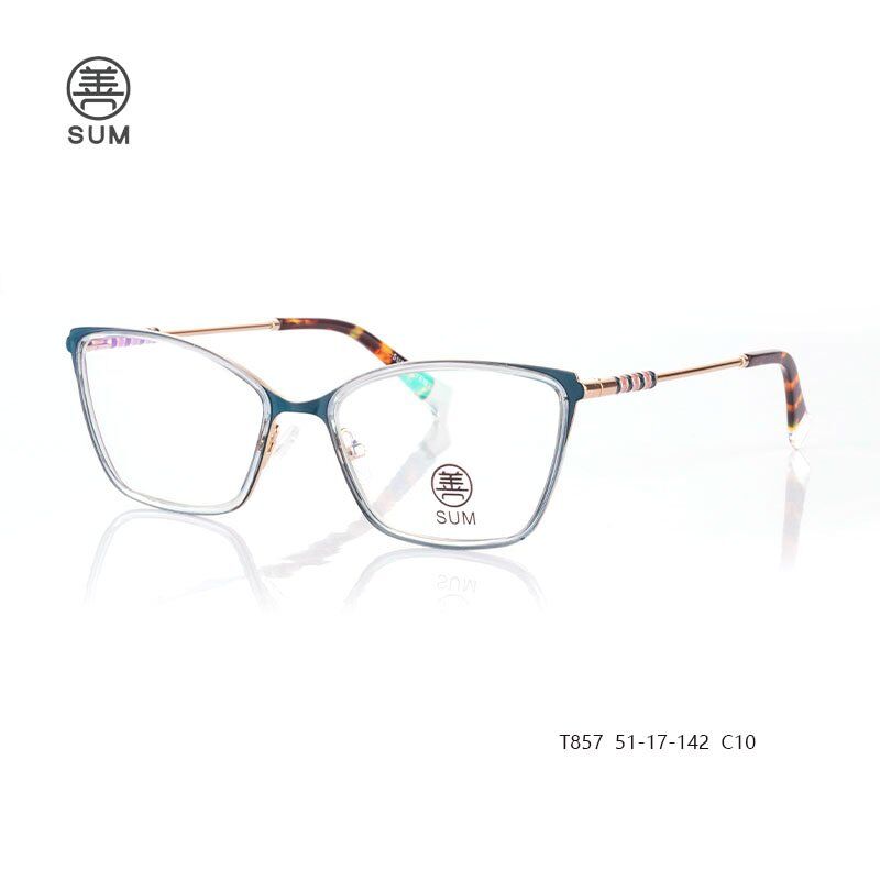 TR90-eyewear-for-women-T857-C10.jpg