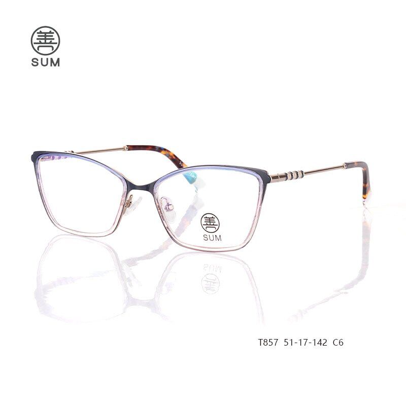 TR90-eyewear-for-women-T857-C6.jpg