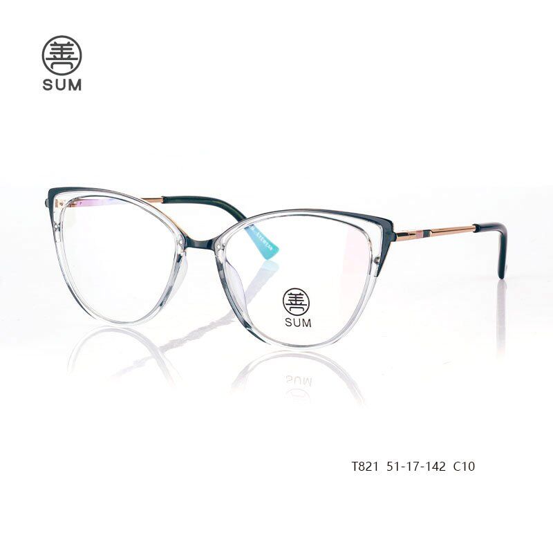 TR90-wholesale-eyeglasses-T821-C10.jpg