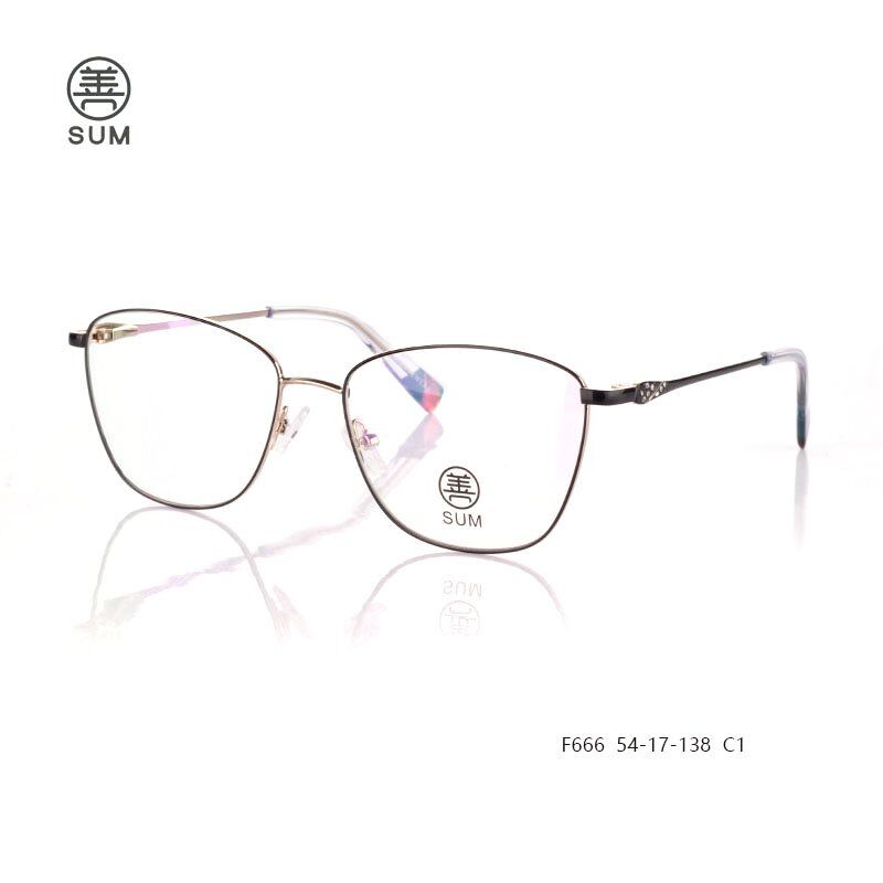 latest designer eyeglass frames for women F666 C1