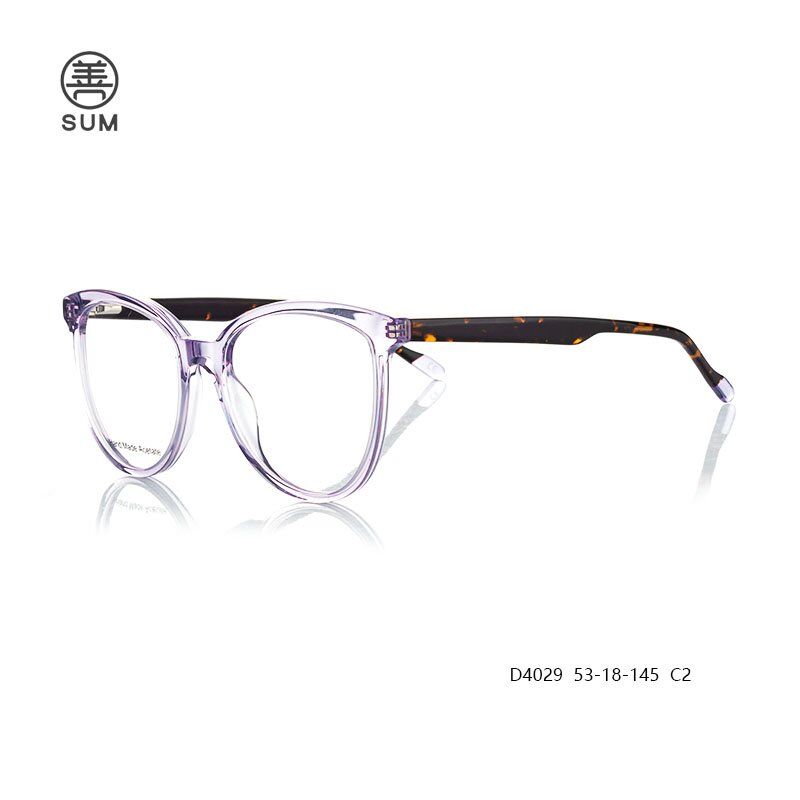 Big Size Optical Frames D4029 C2 Big Size Optical Frames D4029 C2