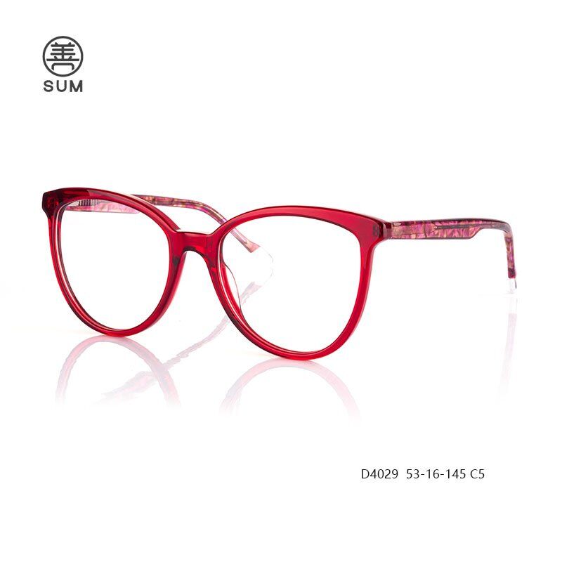 Big Size Optical Frames D4029 C5 Big Size Optical Frames D4029 C5